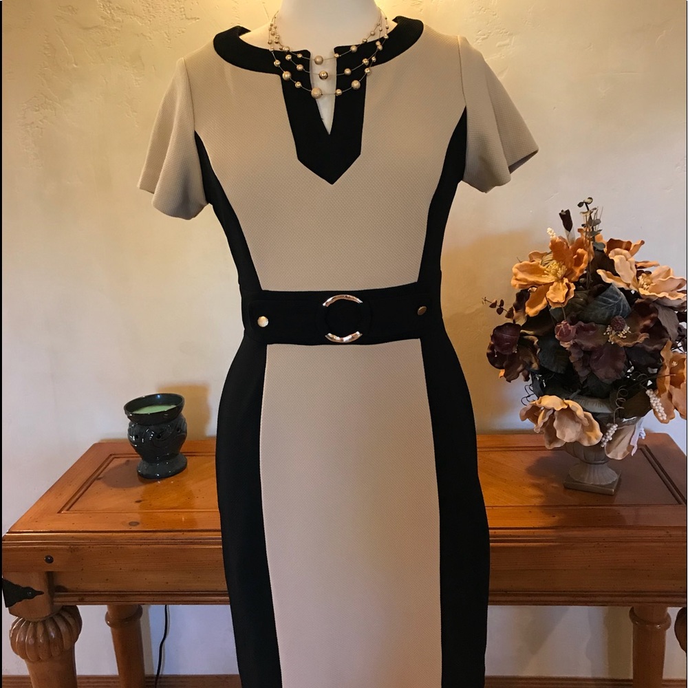 Dressbarn Dress size 10